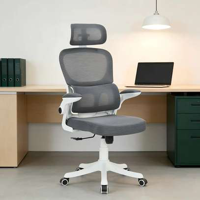 Ergonomic Mesh Office Chair